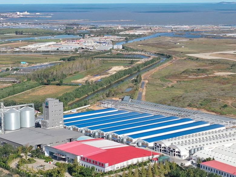 韓偉集團大連咯咯噠蛋業(yè)有限公司